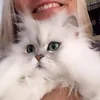 danymissy