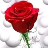 sehmuz_vural73