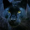 juttlangrial302