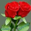 shaukathussain74