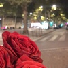 paris8_8