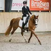 sarah_dressage_