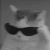 _gxsp