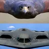 eest1wwwtiktok.com