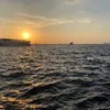 varinrebaz