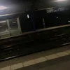 sophie_mary40
