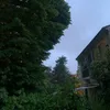 lilyfaschifo.basta