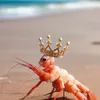 shrimpcess