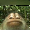 mateo_whitaker0307