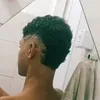 _silvazx777