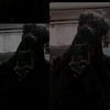 jordy_d_deyx