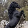 galopesp