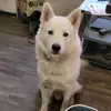 bdhdndhebbdbb