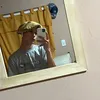 gastonrodriguez53