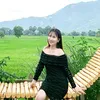 ntlinh1909