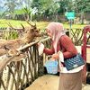 afifahchynn_