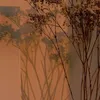 genzed01