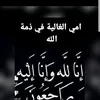 mnsa__sedra
