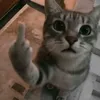 ho.t.s.nhiu5