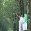 bakul.liangteh