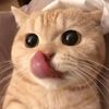 usertx6qv4lyx1
