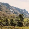 1990_h09