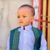 wahed_240