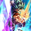 vegetto_2008