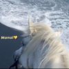manaal200