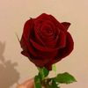 ashraf25865