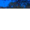 ma_n58