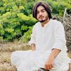 tanveer_sabz_albaloshi