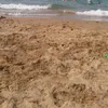 doudidusud