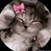 sadiyal86