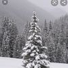 banff2727nswe