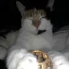 louloutte_sahbi
