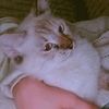 pretty__hanane