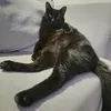 rfks_._