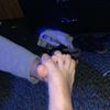 spicybeans3