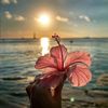 hope125986