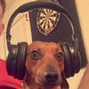 kicked_dog