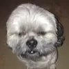 crankshafter