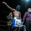 realninotheboxer