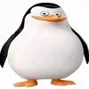 pinguinvoadork