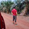damasya88kalteng