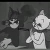 dztvd.pl