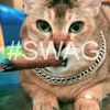 s0uthjaguar