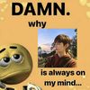 cheommatboneunhaopop