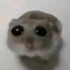 tacofann229