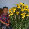 user051120244